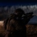 ARTP 25.3 | 12th LCT Marines Execute a Night Live-Fire Range