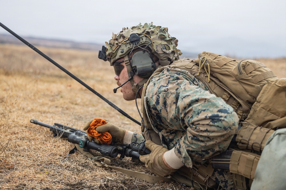 ARTP 25.3 | 12th LCT Marines Maintain Readiness during a Squad Sized Live-Fire Range