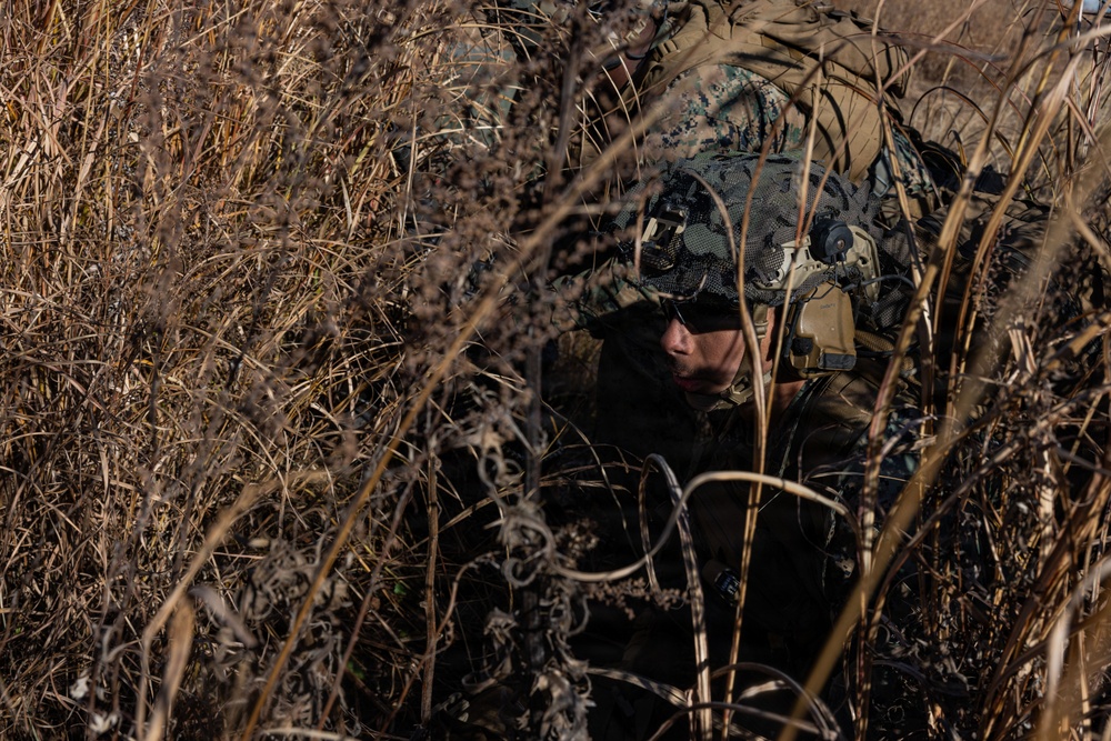 ARTP 25.3 | 12th LCT Marines Maintain Readiness during a Squad Sized Live-Fire Range