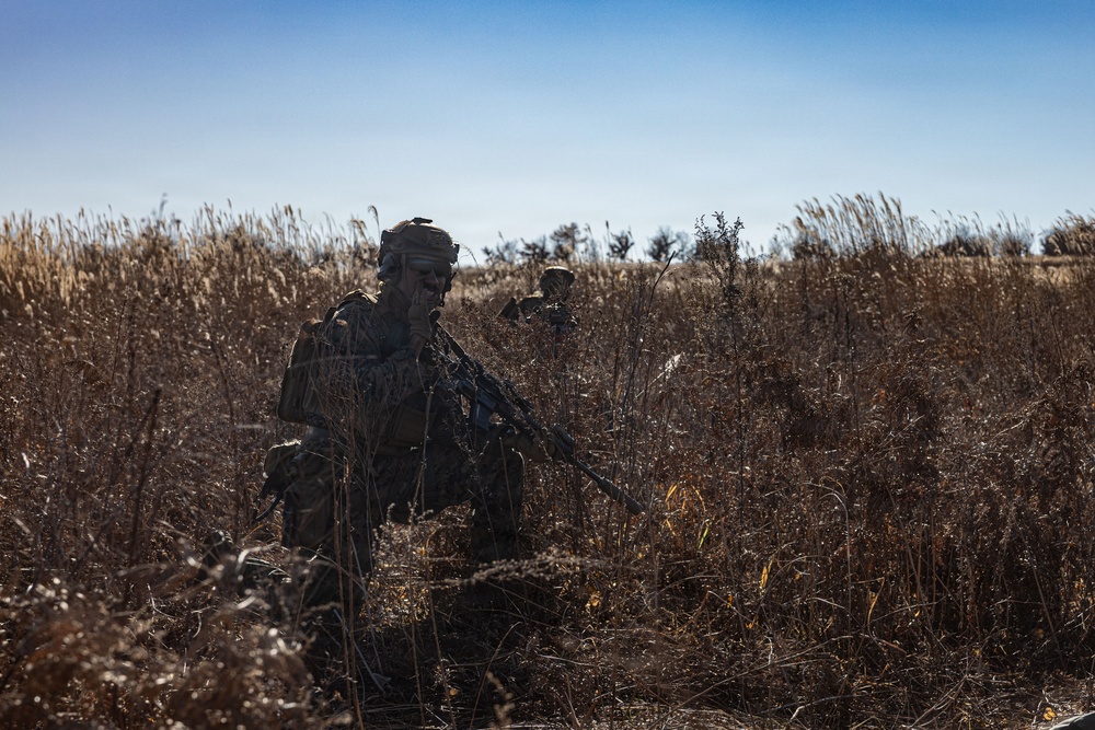 ARTP 25.3 | 12th LCT Marines Maintain Readiness during a Squad Sized Live-Fire Range