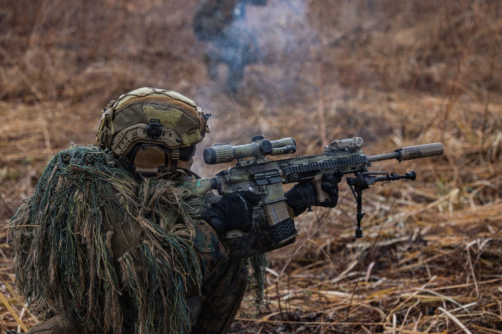 ARTP 25.3 | 12th LCT Marines Maintain Readiness during a Squad Sized Live-Fire Range