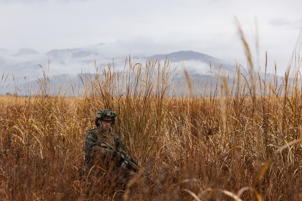 ARTP 25.3 | 12th LCT Marines Maintain Readiness during a Squad Sized Live-Fire Range