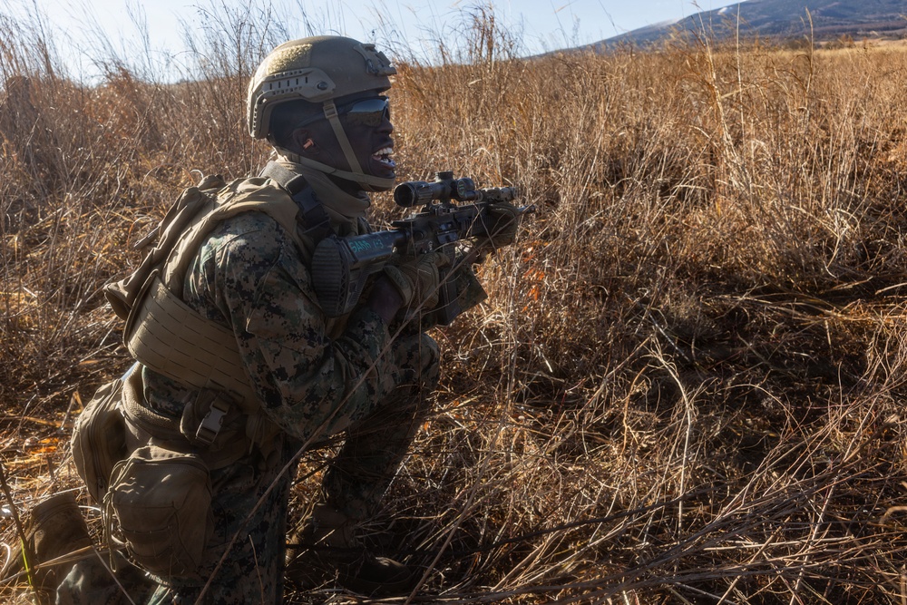 ARTP 25.3 | 12th LCT Marines Maintain Readiness during a Squad Sized Live-Fire Range