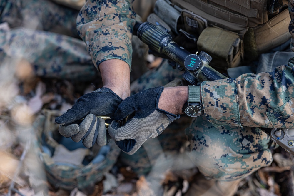 ARTP 25.3 | 12th LCT Marines Participate in Force-on-Force