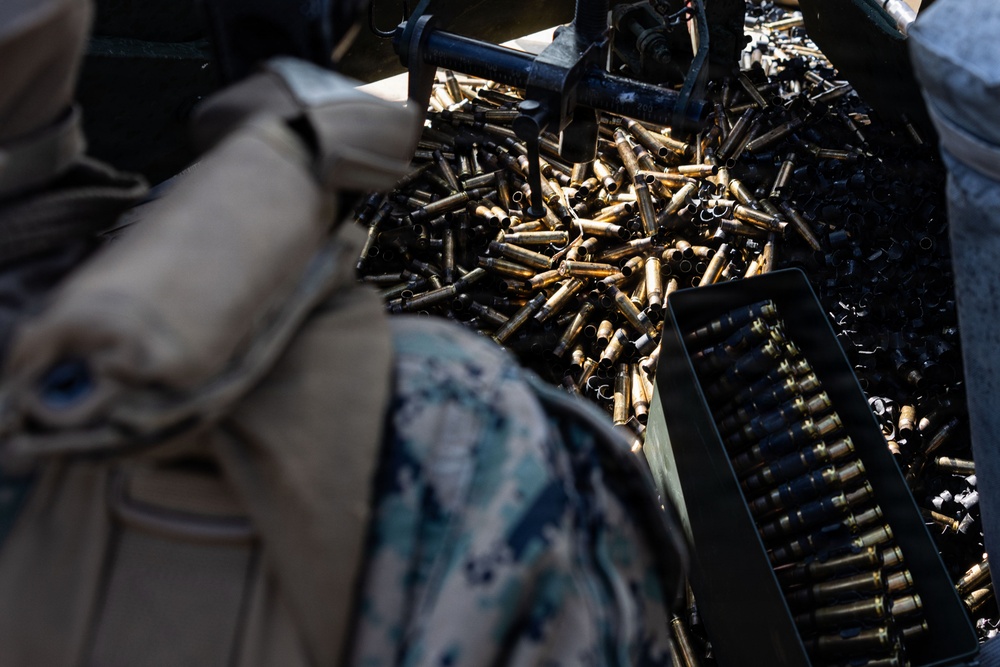 ARTP 25.3 | 12th LCT Marines Execute a Machine Gun Range