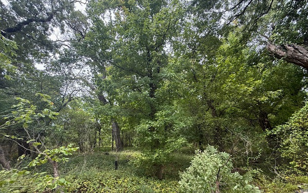 Fort Sill Habitat Restoration Cuts Wildfire Risk, Grows New Opportunities for Hunters