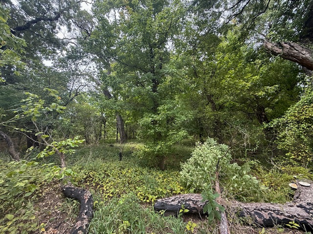 Fort Sill Habitat Restoration Cuts Wildfire Risk, Grows New Opportunities for Hunters