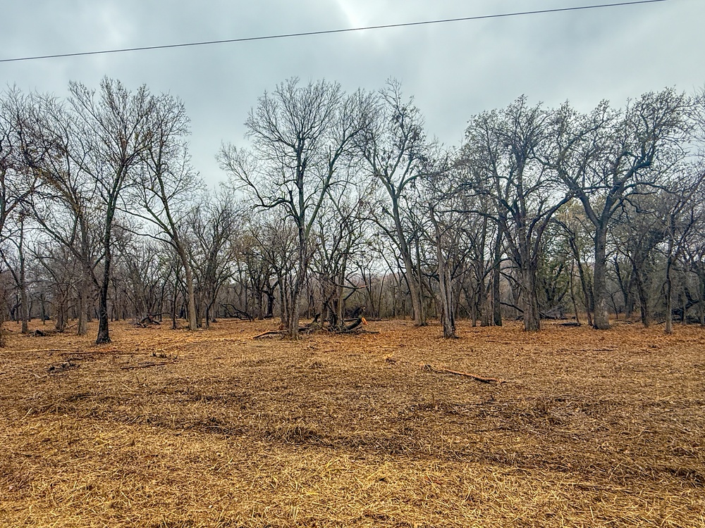 Fort Sill Habitat Restoration Cuts Wildfire Risk, Grows New Opportunities for Hunters