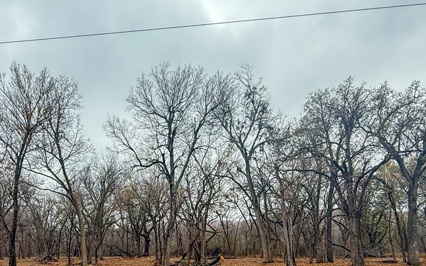 Fort Sill Habitat Restoration Cuts Wildfire Risk, Grows New Opportunities for Hunters