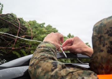 Trees for Troops 2025