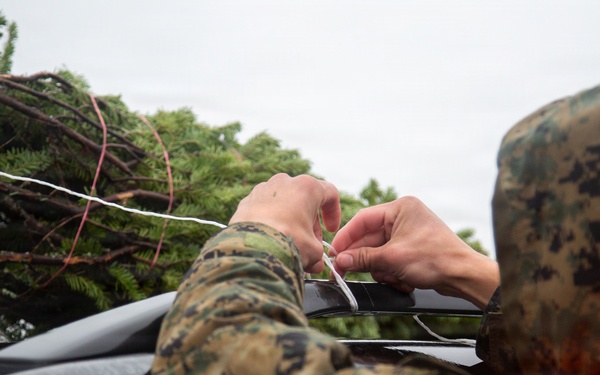 Trees for Troops 2025