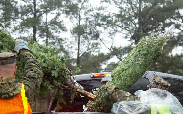 Trees for Troops 2025