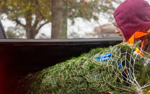 Trees for Troops 2025