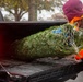 Trees for Troops 2025