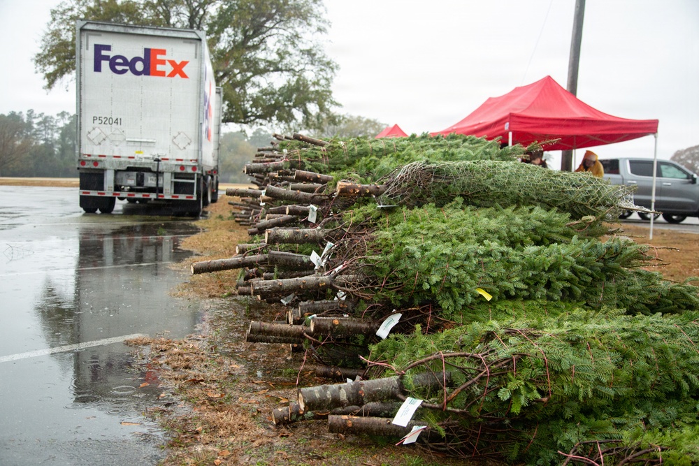 Trees for Troops 2025