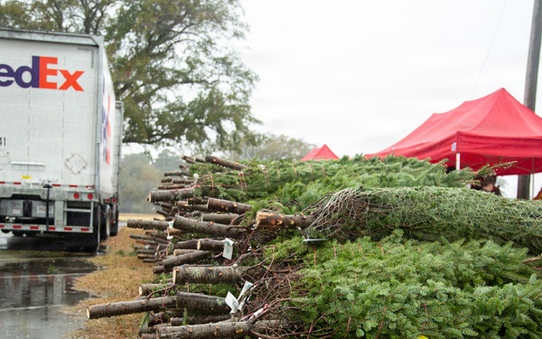 Trees for Troops 2025