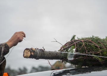 Trees for Troops 2025