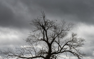 Into the action: Defenders train for real-world scenarios