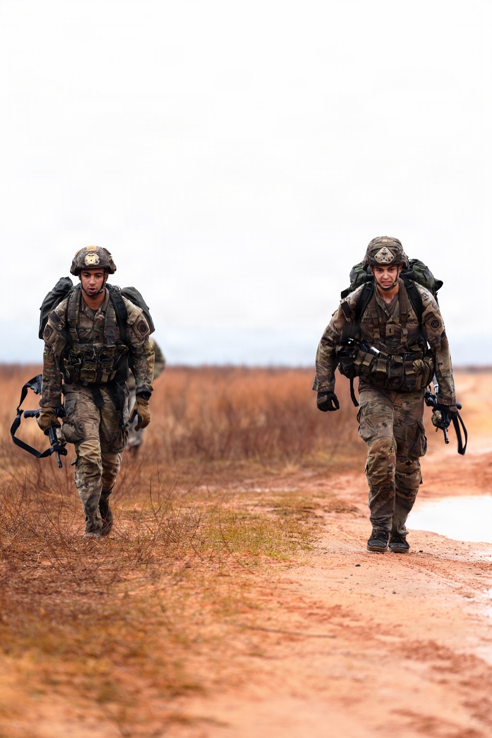 DIVARTY Best of the Best Competition 2025