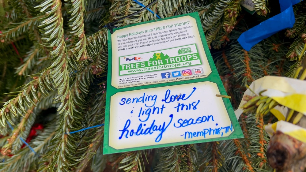 Free Christmas Trees for Military Families at Fort Bragg