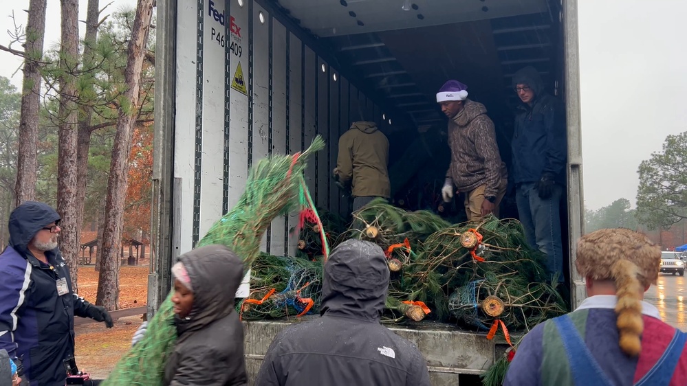 Free Christmas Trees for Military Families at Fort Bragg
