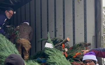 Free Christmas Trees for Military Families at Fort Bragg