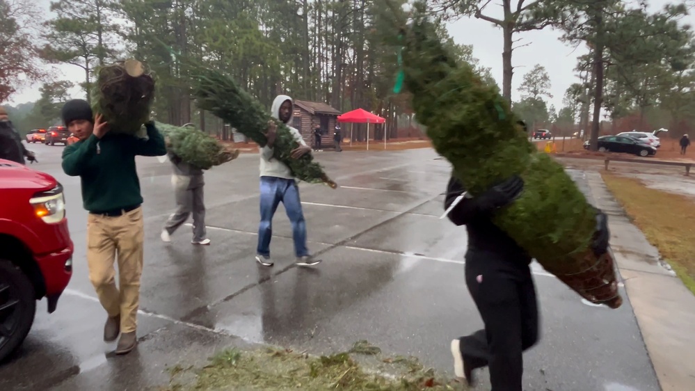 Free Christmas Trees for Military Families at Fort Bragg
