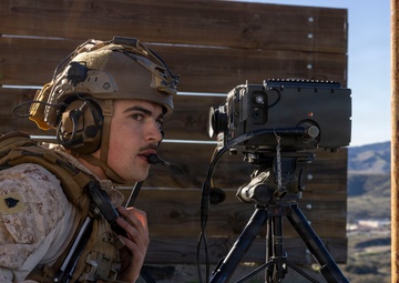 Steel Knight 25: Stingers Conduct Close Air Support