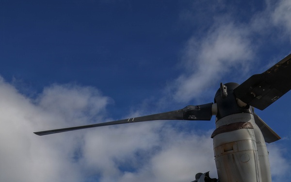 Young Marines Program visits MAG-24