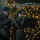 USAG Poland and 3rd ID tree lighting ceremony