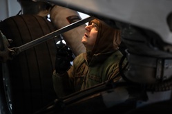 Steel Airmen Complete BPO Inspections to Keep C-17 Fleet Mission-Ready [Image 6 of 18]