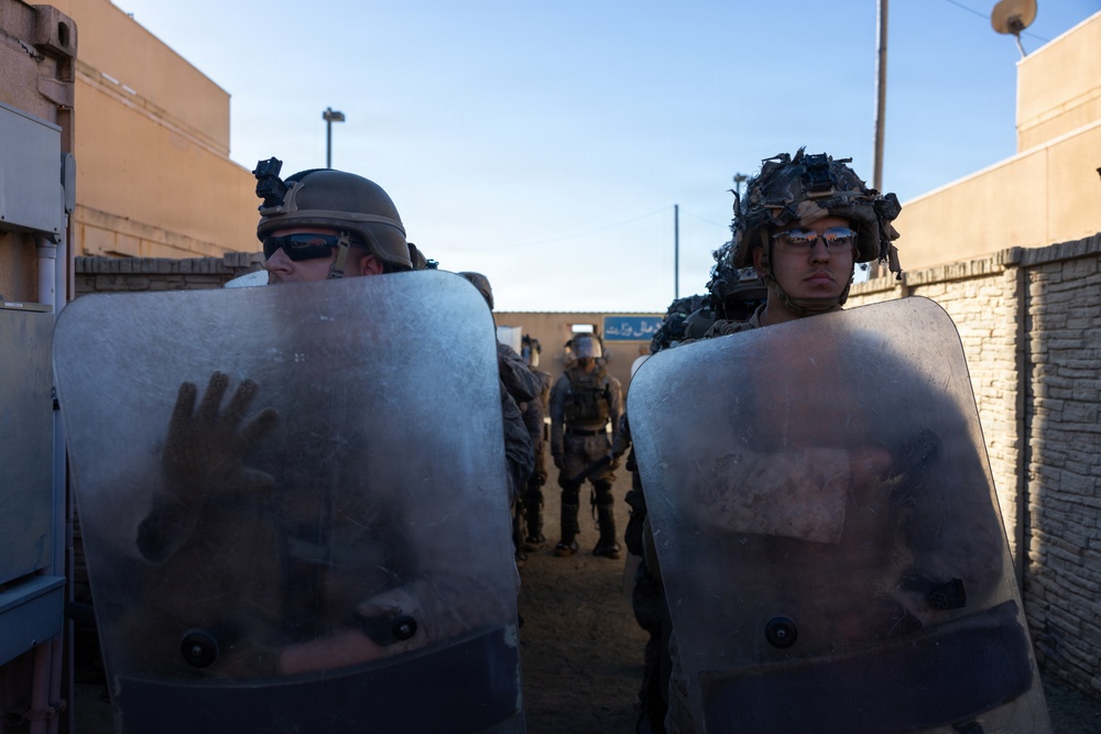 1st Bn., 5th Marines, joint partners conduct simulated embassy casualty evacuation during Steel Knight 25