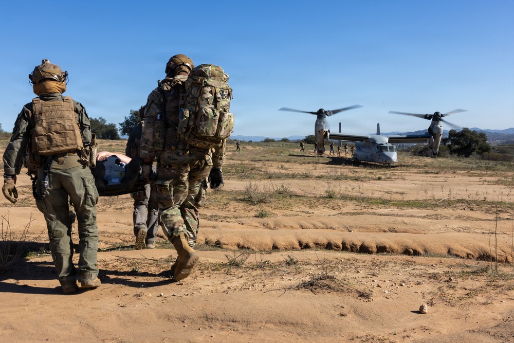1st Bn., 5th Marines, joint partners conduct simulated embassy casualty evacuation during Steel Knight 25