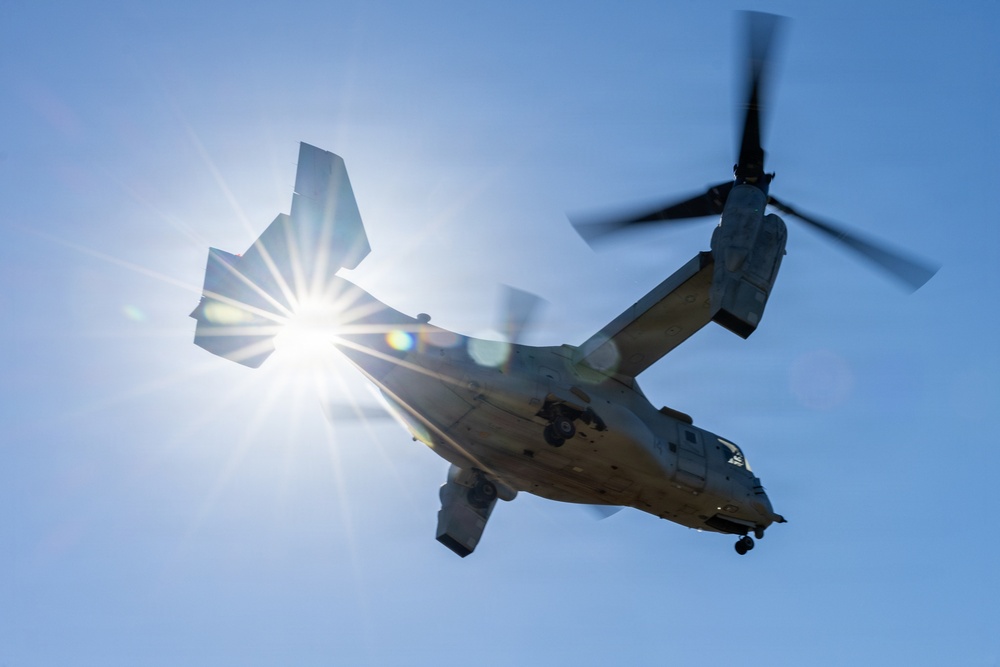 1st Bn., 5th Marines, joint partners conduct simulated embassy casualty evacuation during Steel Knight 25