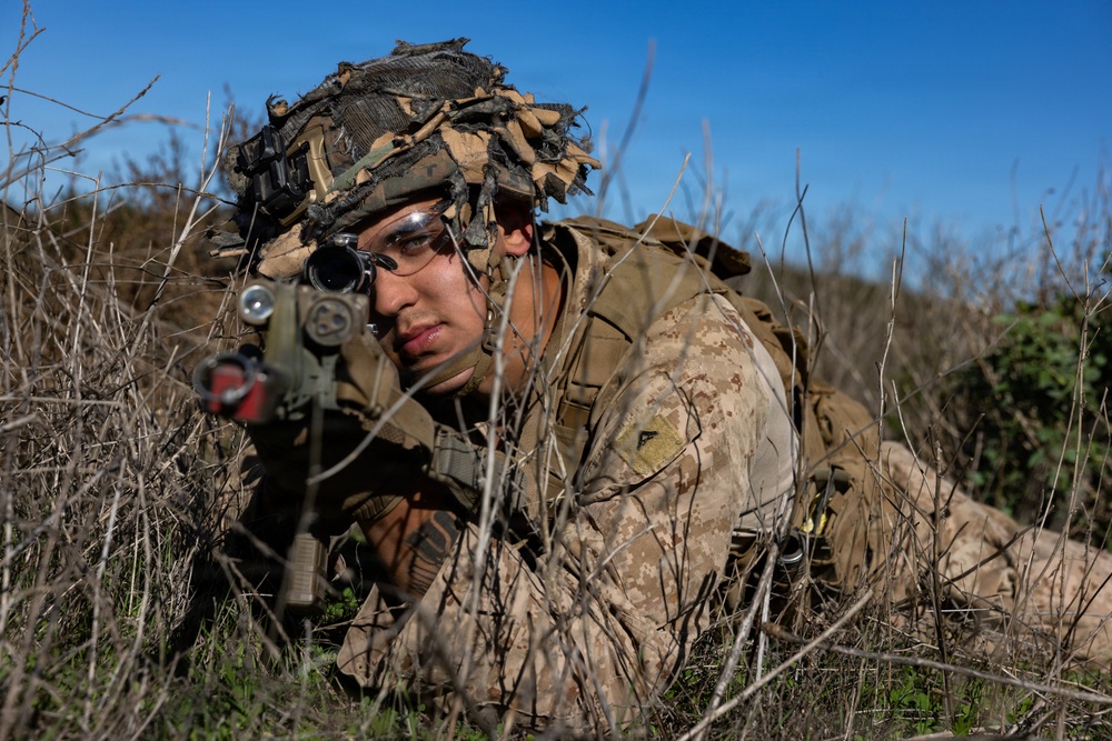 1st Bn., 5th Marines, joint partners conduct simulated embassy casualty evacuation during Steel Knight 25