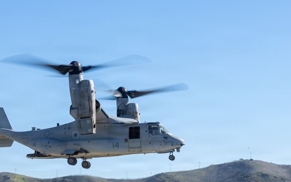 U.S Marines, Sailors from across I MEF treat simulated patients in Battalion Aid Station during Steel Knight 25