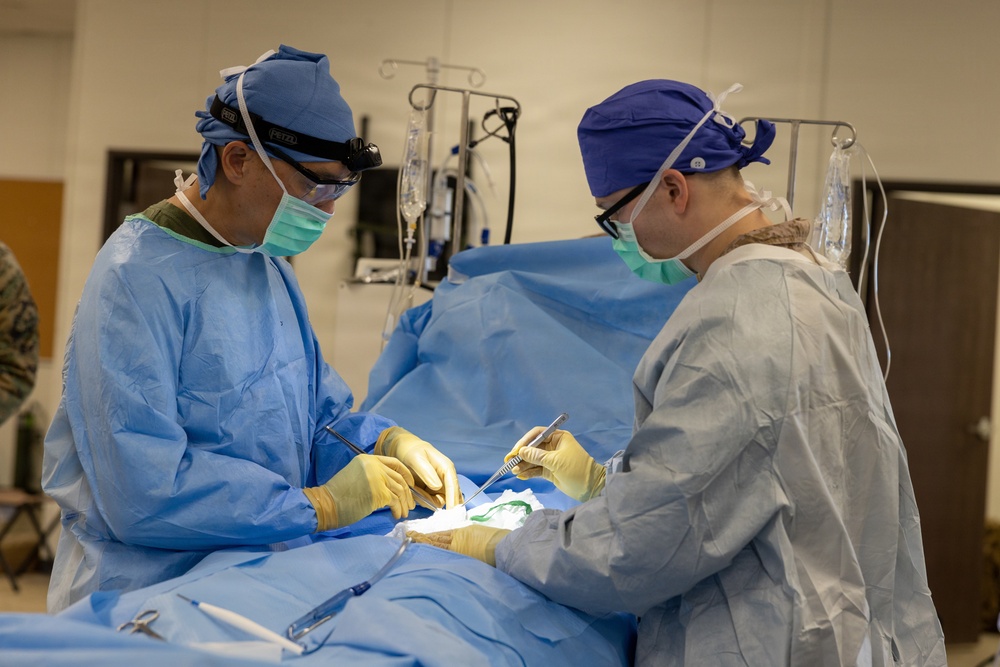 U.S Marines, Sailors from across I MEF treat simulated patients in Battalion Aid Station during Steel Knight 25