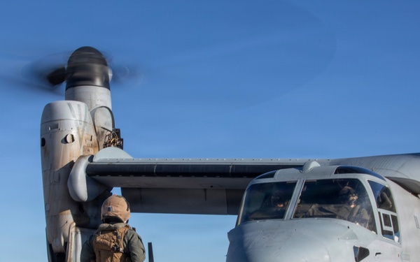 Steel Knight 25: Greyhawks support Mass Casualty training