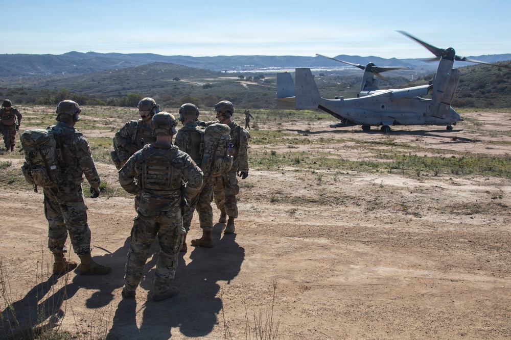 Steel Knight 25: Greyhawks support Mass Casualty training