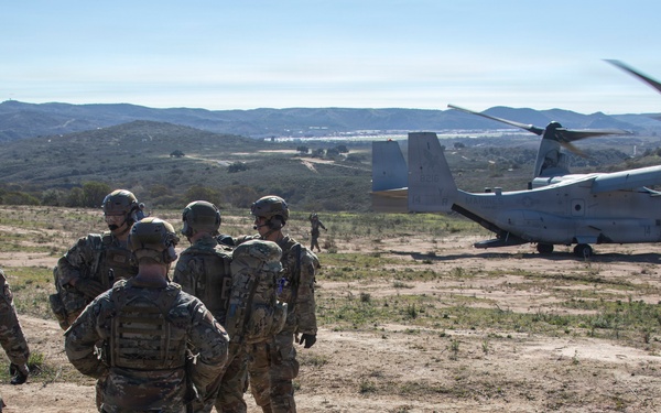 Steel Knight 25: Greyhawks support Mass Casualty training