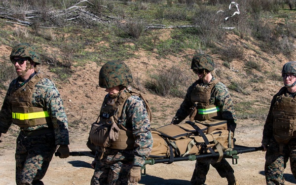 Steel Knight 25: Greyhawks support Mass Casualty training