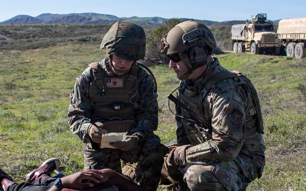 Steel Knight 25: Greyhawks support Mass Casualty training