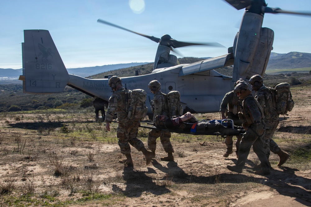 Steel Knight 25: Greyhawks support Mass Casualty training