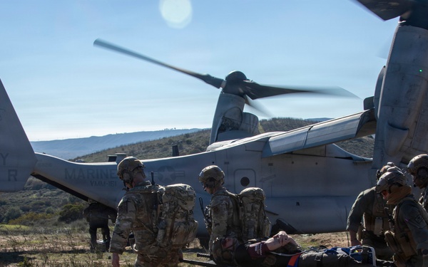 Steel Knight 25: Greyhawks support Mass Casualty training