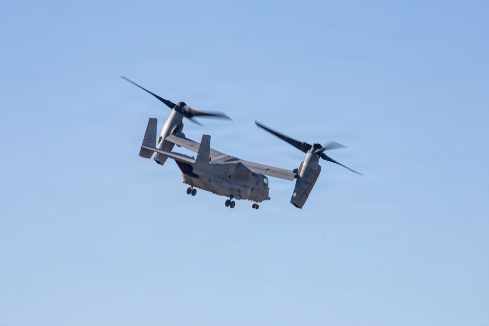 Steel Knight 25: Greyhawks support Mass Casualty training