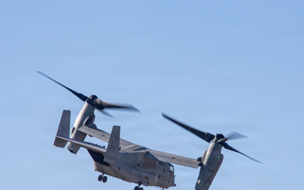 Steel Knight 25: Greyhawks support Mass Casualty training