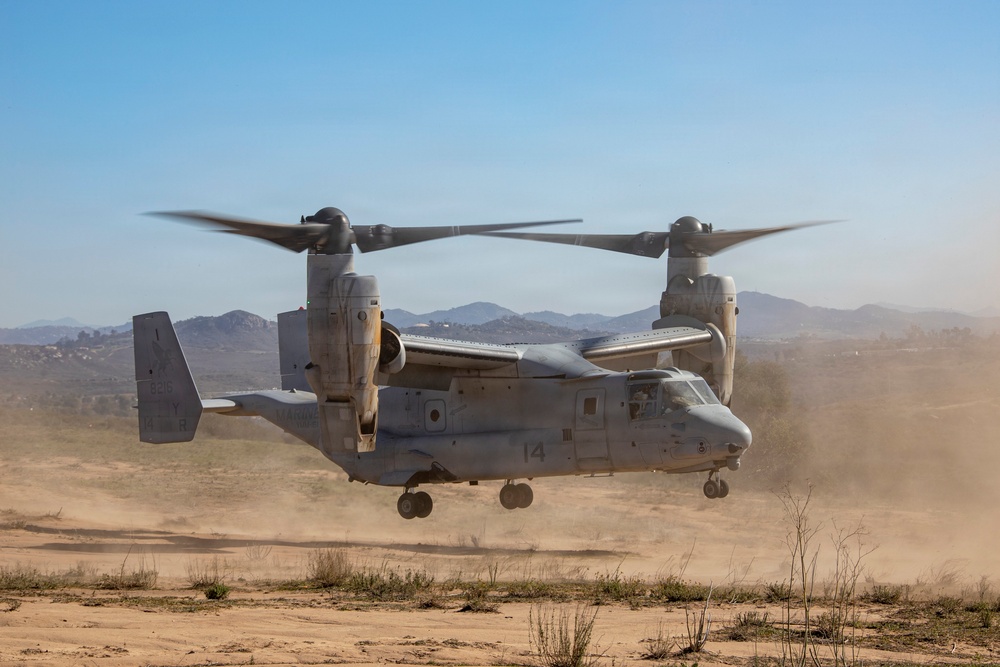 Steel Knight 25: Greyhawks support Mass Casualty training