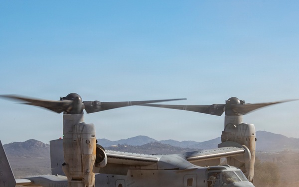 Steel Knight 25: Greyhawks support Mass Casualty training