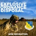 Explosive Ordnance Disposal Team Graphic