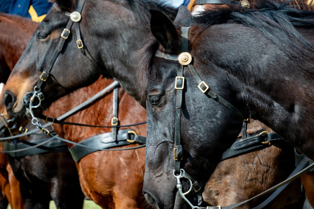 1st Cavalry Division Horse Cavalry Detachment performs ceremonial charge